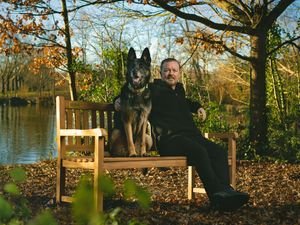 Supporting image for story: Netflix donates benches to local councils in After Life mental health scheme