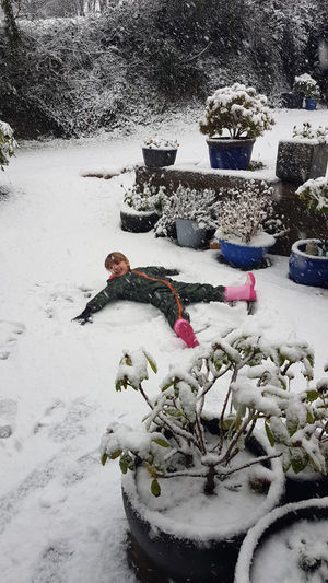 Eleanor, 5, making snow angels in Westhope. Pic: Amy Jane Owen.