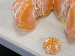 Supporting image for story: This clementine has a tiny but perfect bonus fruit in the middle
