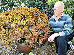 Supporting image for story: Ron battles to keep his garden blooming
