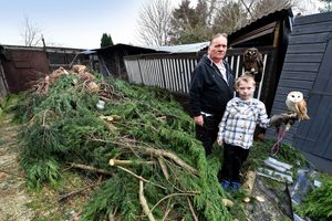 Supporting image for story: Wolverhampton's 'Owl Man' counts costs of Storm Darragh after huge tree falls onto his aviaries