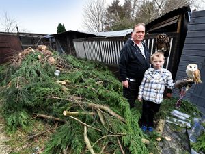 Supporting image for story: Wolverhampton's 'Owl Man' counts costs of Storm Darragh after huge tree falls onto his aviaries