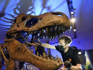 Supporting image for story: Museums opening up again ‘can give mental health boost’