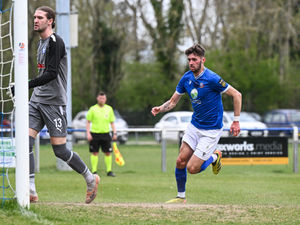 Supporting image for story: Sws hit five to aid survival chances