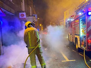 Supporting image for story: Bin fires were deliberate firefighters say