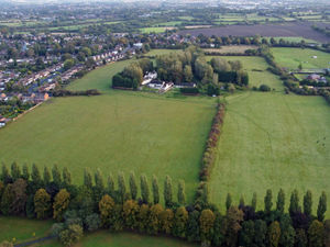 Supporting image for story: Report urges chiefs not to 'destroy' green belt land near Walsall Arboretum