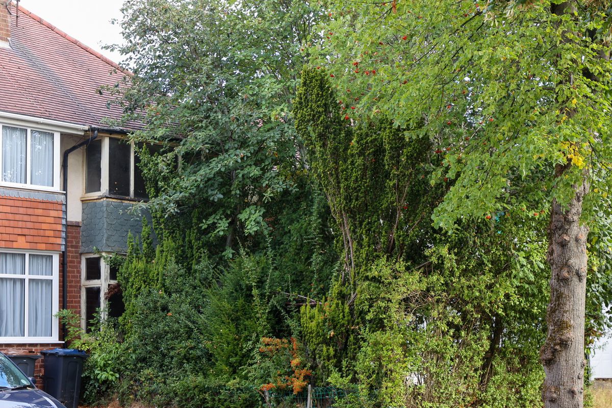 Eyesore jungle left to rot: Overgrown house with neglected garden sells at auction for &pound;188k