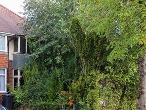 Supporting image for story: 'Eyesore jungle left to rot': Overgrown West Midlands house with neglected garden sells at auction for £188,000