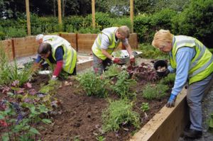 The Friends of Telford Town Park hard at work.