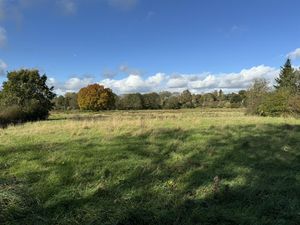 Land at the cottage extends to around half an acre. The Grade II listed cottage is going to auction on Friday, November 29. Picture: Halls.
