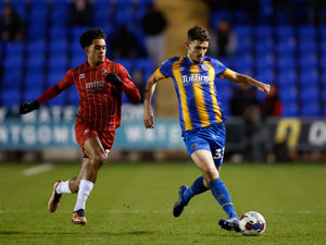 Supporting image for story: Shrewsbury's Tom Flanagan a doubt for the FA Cup game against Sunderland 