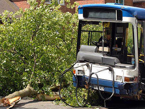 Supporting image for story: Passenger is hurt as bus hits tree