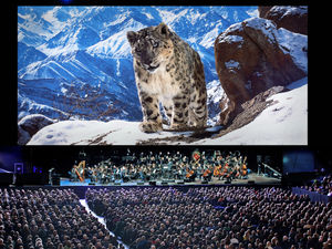 Supporting image for story: Putting wildlife at top of agenda: Liz Bonnin talks ahead of Planet Earth II live show coming to Birmingham