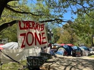 Supporting image for story: More than 2,100 arrests made during pro-Palestinian protests at US colleges