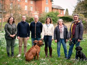 Supporting image for story: Son continues his parents' fundraising legacy as snowdrop walk raises £6k for charity