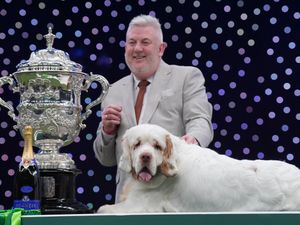 Supporting image for story: Crufts 2026 'Best in Show' winner 'kept dog in shocking conditions' leading 'previous animal cruelty conviction'