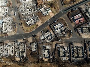 Supporting image for story: Report finds ‘no evidence’ Hawaii officials took steps to prevent wildfire