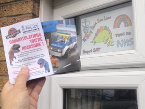 Supporting image for story: Dinosaur poster competition draws 250 Newport entries