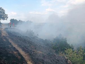 Supporting image for story: Spate of grass fires as heatwave leaves farmers worried
