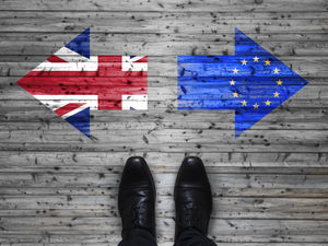 Supporting image for story: LETTER: No Deal is not the ‘win-win’ solution we should seek