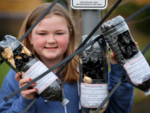 Supporting image for story: Dog owners offered a helping hand by Newport family's bag holders