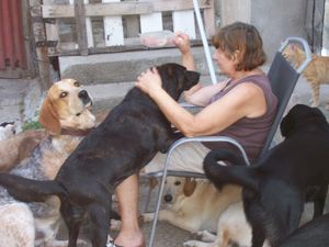 Pat feeding the dogs