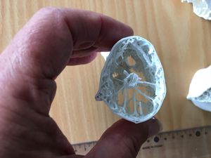 Supporting image for story: Scientists discover secret of pterosaur’s ‘ridiculously long’ neck