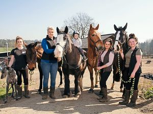 Supporting image for story: Shropshire riding centre back in the saddle after equine flu outbreak