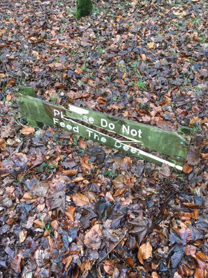 Police have launched an investigation