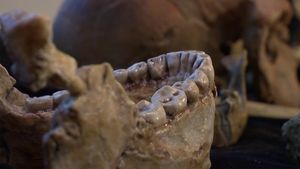 Supporting image for story