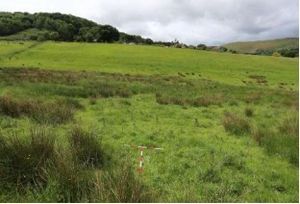 The Snatchfield Farm site. Picture: Pegasus Group