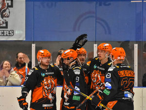 Supporting image for story: Roar us on to the treble!
Tigers call for big backing