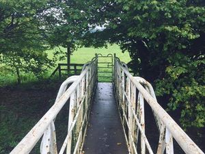 Supporting image for story: South Shropshire discovery walks reopen after trees brought down by storms