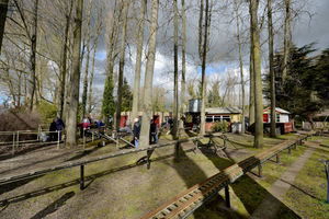 The section of the track with trees