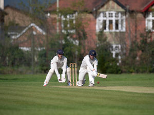 Supporting image for story: Wellington beat rain but it’s more pain for Ludlow