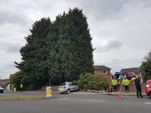 Supporting image for story: Elderly man injured when car smashes into brick wall