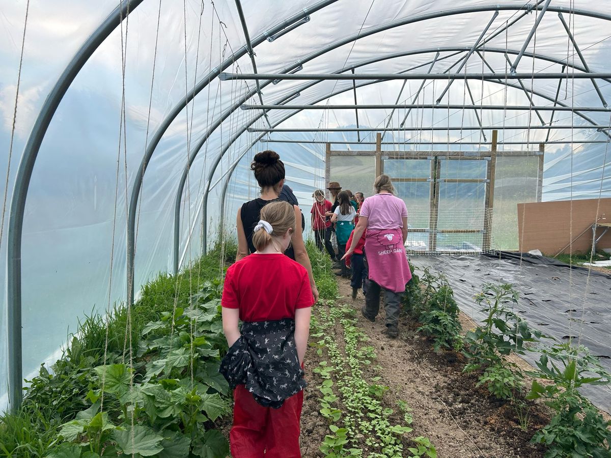 Nearly £500,000 National Lottery Grant secured for major community food and nature project in Radnorshire