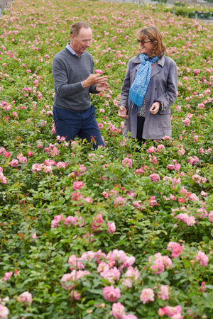 David and Emma surrounded by a sea of roses