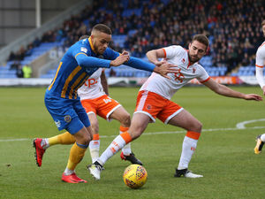 Supporting image for story: Shrewsbury Town 1 Blackpool 0 - Match highlights