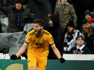 Supporting image for story: Preview: Wolves v Newcastle – seventh heaven?