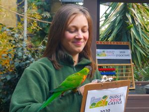 Supporting image for story: How many animals? Dudley Zoo keepers get counting for annual animal stock take