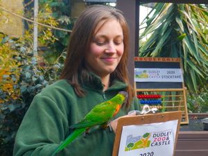 Supporting image for story: How many animals? Dudley Zoo keepers get counting for annual animal stock take