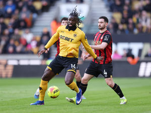 Supporting image for story: Wolves 0 Bournemouth 2 - Report