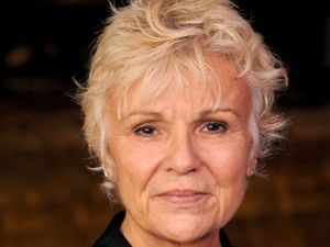 Supporting image for story: Acting legends join in campaign to save Acorns