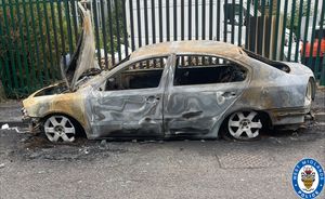 The Skoda
