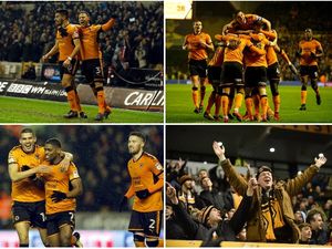 Supporting image for story: Comment: Wolves are too good for the Championship