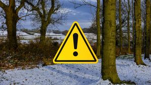 A stock image of a snowy forest with a yellow warning icon.