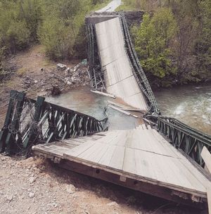 He came face-to-face with a viper while trying to cross a bridge