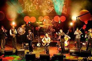 Supporting image for story: Concert review: Bellowhead, Robin 2, Bilston