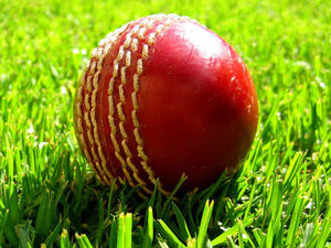 Supporting image for story: Runs flow on opening day of Shropshire against Herefordshire